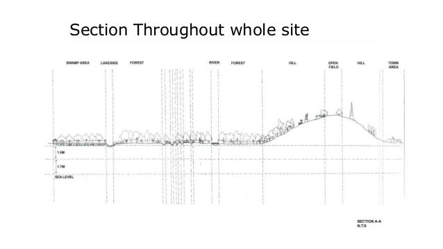 Site Analysis