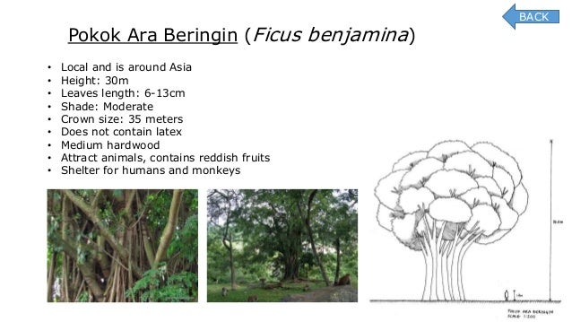 ppt pokok tai trading 8 funa vs. Duque iii | standing (law) | board of directors.