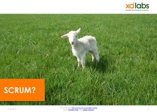 SCRUM?
             Fotocopyright: http://www.sxc.hu/profile/caztaz
17.04.2013       Lizenz: Royalty free, see usage options       5
 