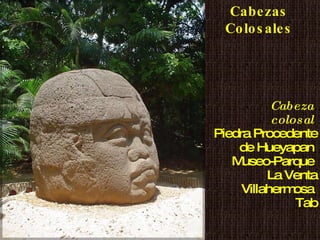 Cabeza  colosal   Piedra Procedente de Hueyapan  Museo-Parque  La Venta Villahermosa  Tab Cabezas Colosales 