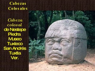 Cabeza colosal   de Nestepe Piedra  Museo Tuxteco San Andrés Tuxtla Ver. Cabezas Colosales 
