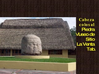 Cabeza  colosal   Piedra  Museo de  Sitio  La Venta  Tab. 