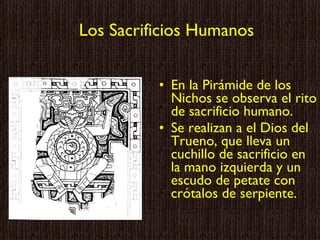 Los Sacrificios Humanos En la Pirámide de los Nichos se observa el rito de sacrificio humano. Se realizan a el Dios del Trueno, que lleva un cuchillo de sacrificio en la mano izquierda y un escudo de petate con crótalos de serpiente. 