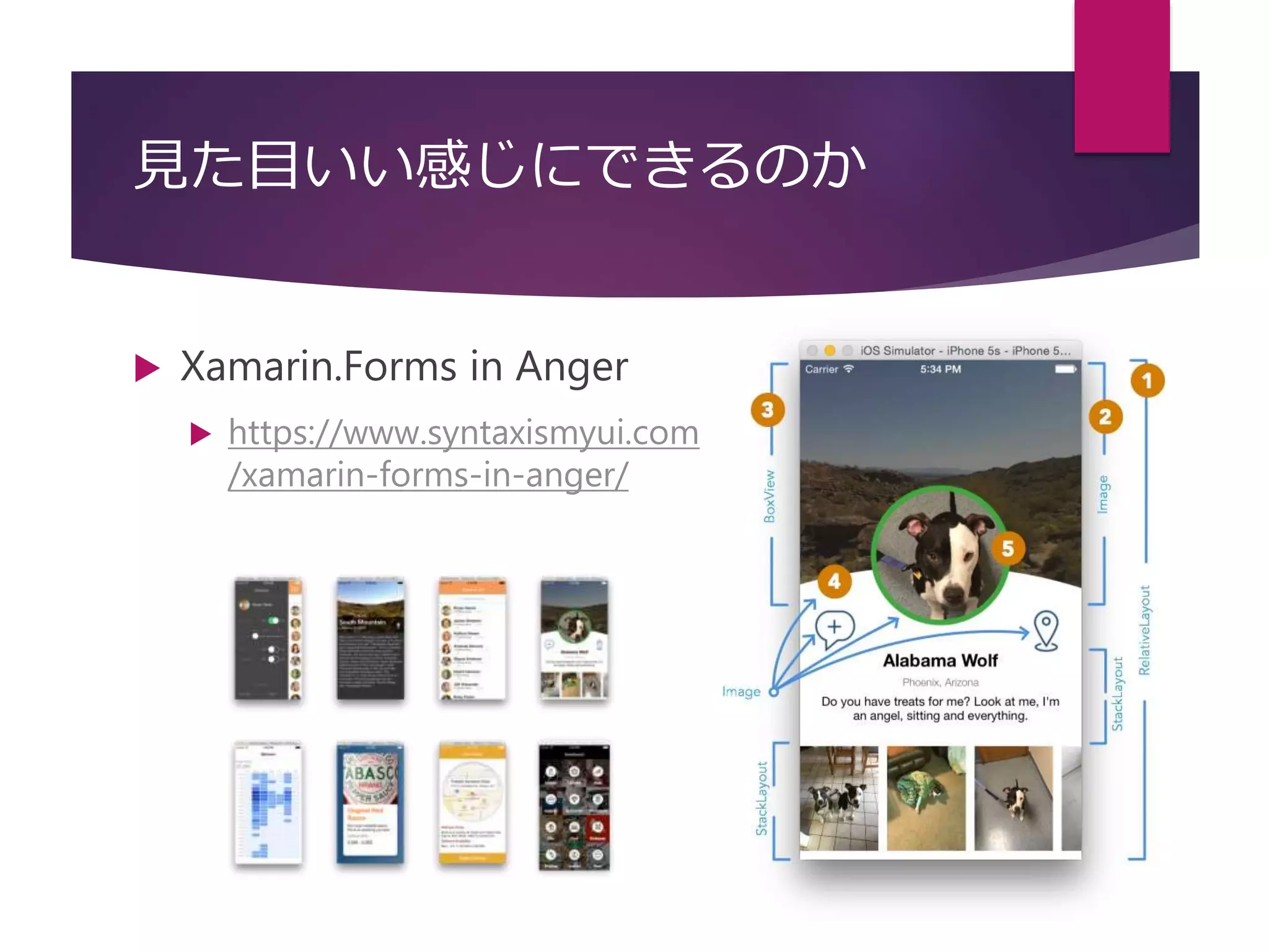 見た目いい感じにできるのか
 Xamarin.Forms in Anger
 https://www.syntaxismyui.com
/xamarin-forms-in-anger/
 