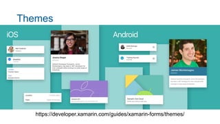 Themes
https://developer.xamarin.com/guides/xamarin-forms/themes/
 