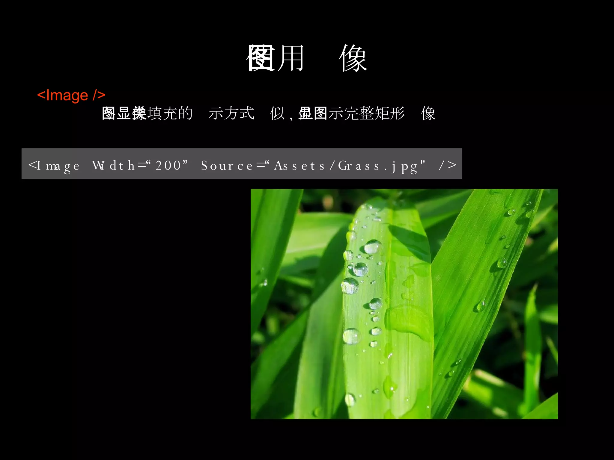 使用图像 <Image /> 与图像填充的显示方式类似 , 但显示完整矩形图像 <Image Width=“200” Source=“Assets/Grass.jpg" /> 