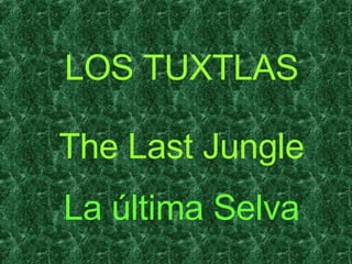 LOS TUXTLAS The Last Jungle La última Selva 