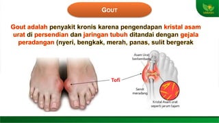 XAMPLUS PRESENTASI ASAM URAT.pptx