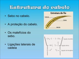 Sebo no cabelo.  A proteção do cabelo. Os malefícios do sebo. Ligações laterais de cadeia 