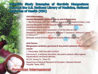 Anti-inflammatory:
Gamma-Mangostin xanthone acts as anti-inflammatory.
1: Mol Pharmacol. 2004 Jun 24 [Epub ahead of print] Related Articles, Links
Gamma-Mangostin Inhibits IkappaB Kinase Activity and Decreases
Lipopolysaccharide-Induced
Cyclooxygenase-2 Gene Expression in C6 Rat Glioma Cells.
Nakatani K, Yamakuni T, Kondo N, Arakawa T, Oosawa K, Shimura S, Inoue
H, Ohizumi Y.
Graduate school of Pharmaceutical Science, Tohoku University.

Anti-Cancer:
Mangosteen xanthone, garcinone E has potent cytotoxic effect on liver
cancer.
1: Planta Med. 2002 Nov;68(11):975-9.
Garcinone E, a xanthone derivative, has potent cytotoxic effect against
hepatocellular carcinoma cell lines.
Ho CK, Huang YL, Chen CC.
Department of Medical Research & Education, Veterans General
Hospital, Taipei, ROC.
 