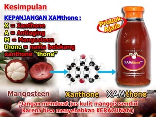 KEPANJANGAN XAMthone :
 