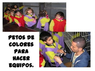 Petos de
colores
  para
 hacer
equipos.
 