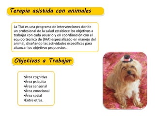 La TAA es una programa de intervenciones donde
un profesional de la salud establece los objetivos a
trabajar con cada usuario y en coordinación con el
equipo técnico de (IAA) especializado en manejo del
animal, diseñando las actividades especificas para
alcanzar los objetivos propuestos.
•Área cognitiva
•Área psíquica
•Área sensorial
•Área emocional
•Área social
•Entre otras.
 