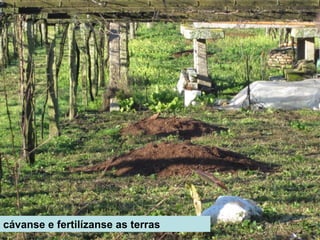 cávanse e fertilízanse as terras
 