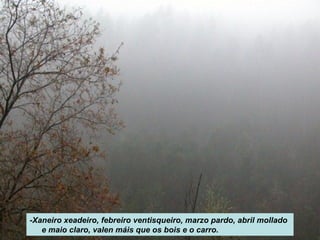 -Xaneiro xeadeiro, febreiro ventisqueiro, marzo pardo, abril mollado
e maio claro, valen máis que os bois e o carro.
 