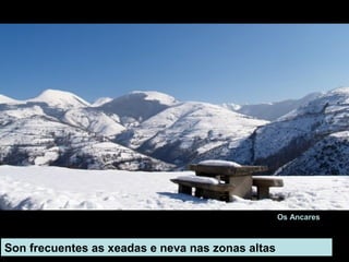 Son frecuentes as xeadas e neva nas zonas altas
Os Ancares
 