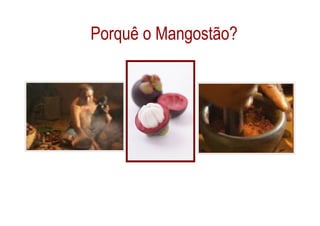 Porquê o Mangostão?
 