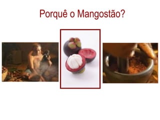 Porquê o Mangostão? 