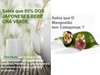Sabia que O Mangostão tem Catequinas ? Sabia que 85% DOS JAPONESES BEBE CHÁ VERDE. O  Chá Verde  tem Catequinas, que promovem um metabolismo saudável, mantém os níveis normais do colesterol e ajuda o sistema imunitário. 