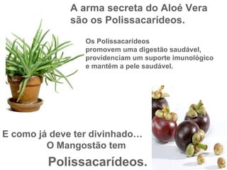 A arma secreta do Aloé Vera são os Polissacarídeos. Os Polissacarídeos promovem uma digestão saudável, providenciam um suporte imunológico e mantêm a pele saudável. E como já deve ter divinhado… O Mangostão tem Polissacarídeos. 
