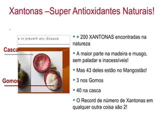 Xantonas –Super Antioxidantes Naturais! Casca + 200 XANTONAS encontradas na natureza A maior parte na madeira e musgo, sem paladar e inacessíveis! Mas 43 deles estão no Mangostão! 3 nos Gomos 40 na casca O Record de número de Xantonas em qualquer outra coisa são 2! Gomos 