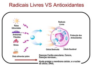 Radicais Livres VS Antioxidantes Raios Ultravioleta  Doenças Cardio-vasculares, Cancro,  Doenças nervosas... Ajuda protejer a membrana celular, e o nucleo da célula ( DNA). Stress Dieta alimentar pobre Célula Saudável Célula Destruída Protecção dos  Antioxidantes Ambientes Poluídos Radicais Livres 
