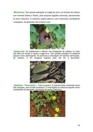 16
Mil-homens: Tem grande aplicação na magia de amor, em banhos de mistura
com manacá (folhas e flores), para propiciar ligações amorosas, aproximando
os sexo masculino. A medicina caseira aplica-o como estomacal, combatendo
a dispepsia. As gestantes não a devem usar.
Aperta-ruão: Os babalorixás a utilizam nas obrigações de cabeça; no caso
dos filhos do trovão é usada a nega-mina. Tem grande prestígio na medicina
popular como adstringente. As senhoras a empregam em banhos semicúpios,
de assento, e em lavagens vaginais para dar fim à leucorréia.
Azedinha – Trevo-azedo – Três-corações: É popularmente conhecida como
três corações, sem função ritualística. É empregada na medicina popular como
combatente da disenteria, eliminador de gases e febrífugo.
 