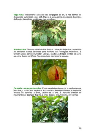 20
Nega-mina: Inteiramente aplicada nas obrigações de ori, e nos banhos de
descarrego ou limpeza e nos abô. O povo a aplica como debeladora dos males
do fígado, das cólicas hepáticas e das nevralgias.
Noz-moscada: Seu uso ritualístico se limita a utilização do pó que, espalhado
ao ambiente, exerce atividade para melhoria das condições financeiras. É
também usado como defumador. Este pó, usado nos braços e mãos ao sair à
rua, atrai fluidos benéficos. Não possui uso na medicina popular.
Panacéia – Azougue-de-pobre: Entra nas obrigações de ori e nos banhos de
descarrego ou limpeza. O povo a aponta como poderoso diurético e de grande
eficácia no combate à sífilis, usando-se o chá. É indicada também no
tratamento das doenças de pele, e ainda debelar o reumatismo, em banhos.
 