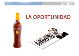 LA OPORTUNIDAD 
 