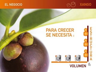 Xango presentacion corta ok