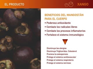 Xango presentacion corta ok