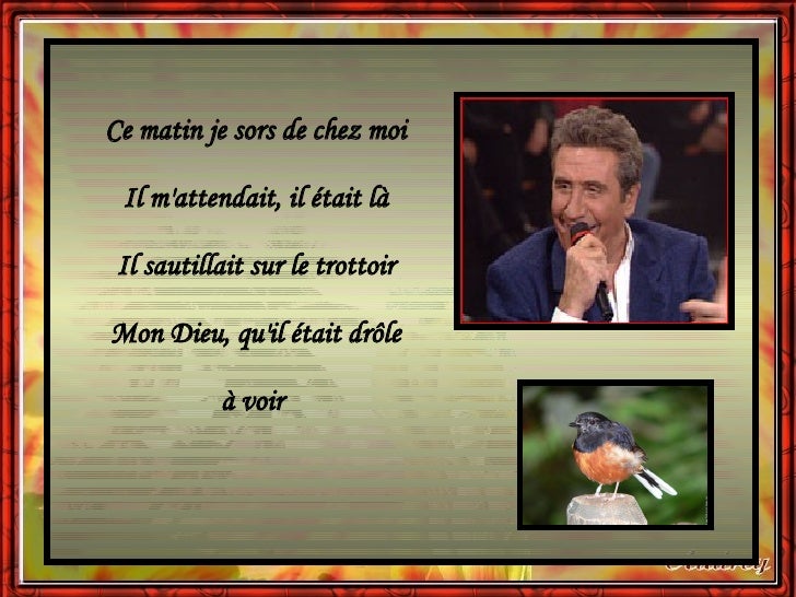 X Animals Birds Petit Oiseau De Toutes Les Couleurs