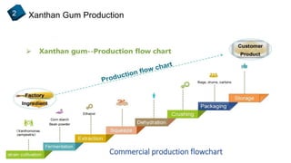 Xanthan Gum Production2
Commercial production flowchart
 