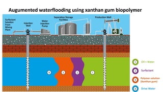 Polymer solution
(Xanthan gum)
Augumented waterflooding using xanthan gum biopolymer
 