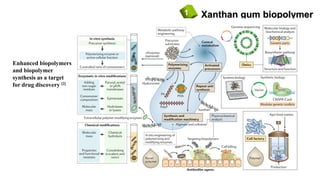 Xanthan gum biopolymer1
Enhanced biopolymers
and biopolymer
synthesis as a target
for drug discovery [2]
 