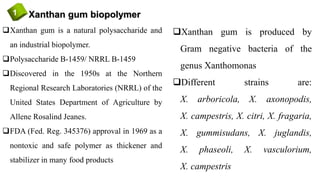 Xanthan gum biopolymer1
Xanthan gum is a natural polysaccharide and
an industrial biopolymer.
Polysaccharide B-1459/ NRRL B-1459
Discovered in the 1950s at the Northern
Regional Research Laboratories (NRRL) of the
United States Department of Agriculture by
Allene Rosalind Jeanes.
FDA (Fed. Reg. 345376) approval in 1969 as a
nontoxic and safe polymer as thickener and
stabilizer in many food products
Xanthan gum is produced by
Gram negative bacteria of the
genus Xanthomonas
Different strains are:
X. arboricola, X. axonopodis,
X. campestris, X. citri, X. fragaria,
X. gummisudans, X. juglandis,
X. phaseoli, X. vasculorium,
X. campestris
 