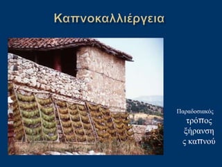 Παραδοσιακός
τρόπος
ξήρανση
ς καπνού
 