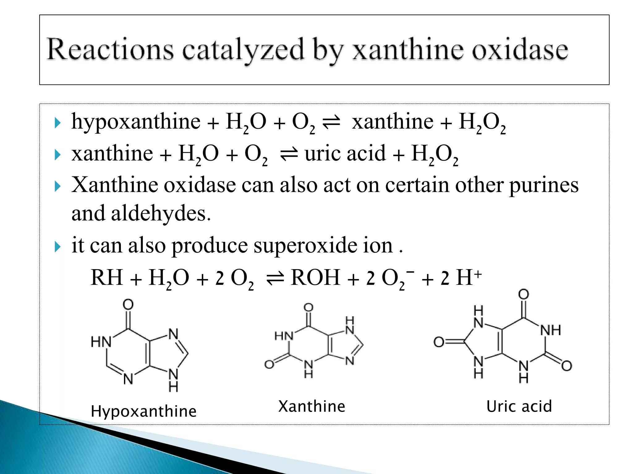  hypoxanthine + H2O + O2 ⇌ xanthine + H2O2
 xanthine + H2O + O2 ⇌ uric acid + H2O2
 Xanthine oxidase can also act on certain other purines
and aldehydes.
 it can also produce superoxide ion .
RH + H2O + 2 O2 ⇌ ROH + 2 O2
− + 2 H+
Hypoxanthine Xanthine Uric acid
 