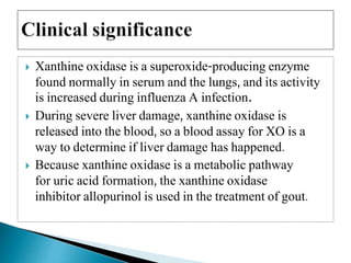  Xanthine oxidase is a superoxide-producing enzyme
found normally in serum and the lungs, and its activity
is increased during influenza A infection.
 During severe liver damage, xanthine oxidase is
released into the blood, so a blood assay for XO is a
way to determine if liver damage has happened.
 Because xanthine oxidase is a metabolic pathway
for uric acid formation, the xanthine oxidase
inhibitor allopurinol is used in the treatment of gout.
 
