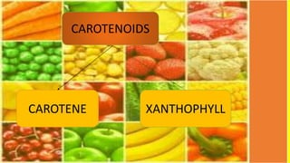 CAROTENOIDS
CAROTENE XANTHOPHYLL
 