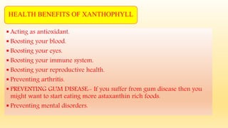  Acting as antioxidant.
 Boosting your blood.
 Boosting your eyes.
 Boosting your immune system.
 Boosting your reproductive health.
 Preventing arthritis.
 PREVENTING GUM DISEASE:- If you suffer from gum disease then you
might want to start eating more astaxanthin rich foods.
 Preventing mental disorders.
HEALTH BENEFITS OF XANTHOPHYLL
 