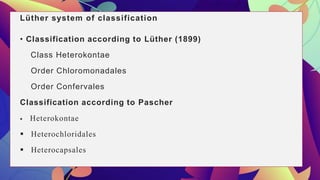 Lüther system of classification
• Classification according to Lüther (1899)
Class Heterokontae
Order Chloromonadales
Order Confervales
Classification according to Pascher
 Heterokontae
 Heterochloridales
 Heterocapsales
 