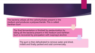 Xanthun Gum Production by Maliha Rashid.pptx