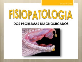 Estudo de Caso
DOS PROBLEMAS DIAGNOSTICADOS
 