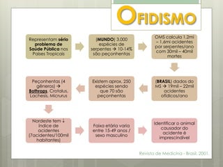 Revista de Medicina - Brasil, 2001.
Representam sério
problema de
Saúde Pública nos
Países Tropicais
(MUNDO) 3.000
espécies de
serpentes  10-14%
são peçonhentas
OMS calcula 1,2mi
– 1,6mi acidentes
por serpentes/ano
com 30mil – 40mil
mortes
(BRASIL) dados do
MS  19mil – 22mil
acidentes
ofídicos/ano
Existem aprox. 250
espécies sendo
que 70 são
peçonhentas
Peçonhentas (4
gêneros) 
Bothrops, Crotalus,
Lachesis, Micrurus
Nordeste tem 
índice de
acidentes
(7acidentes/100mil
habitantes)
Faixa etária varia
entre 15-49 anos /
sexo masculino
Identificar o animal
causador do
acidente é
imprescindível
 