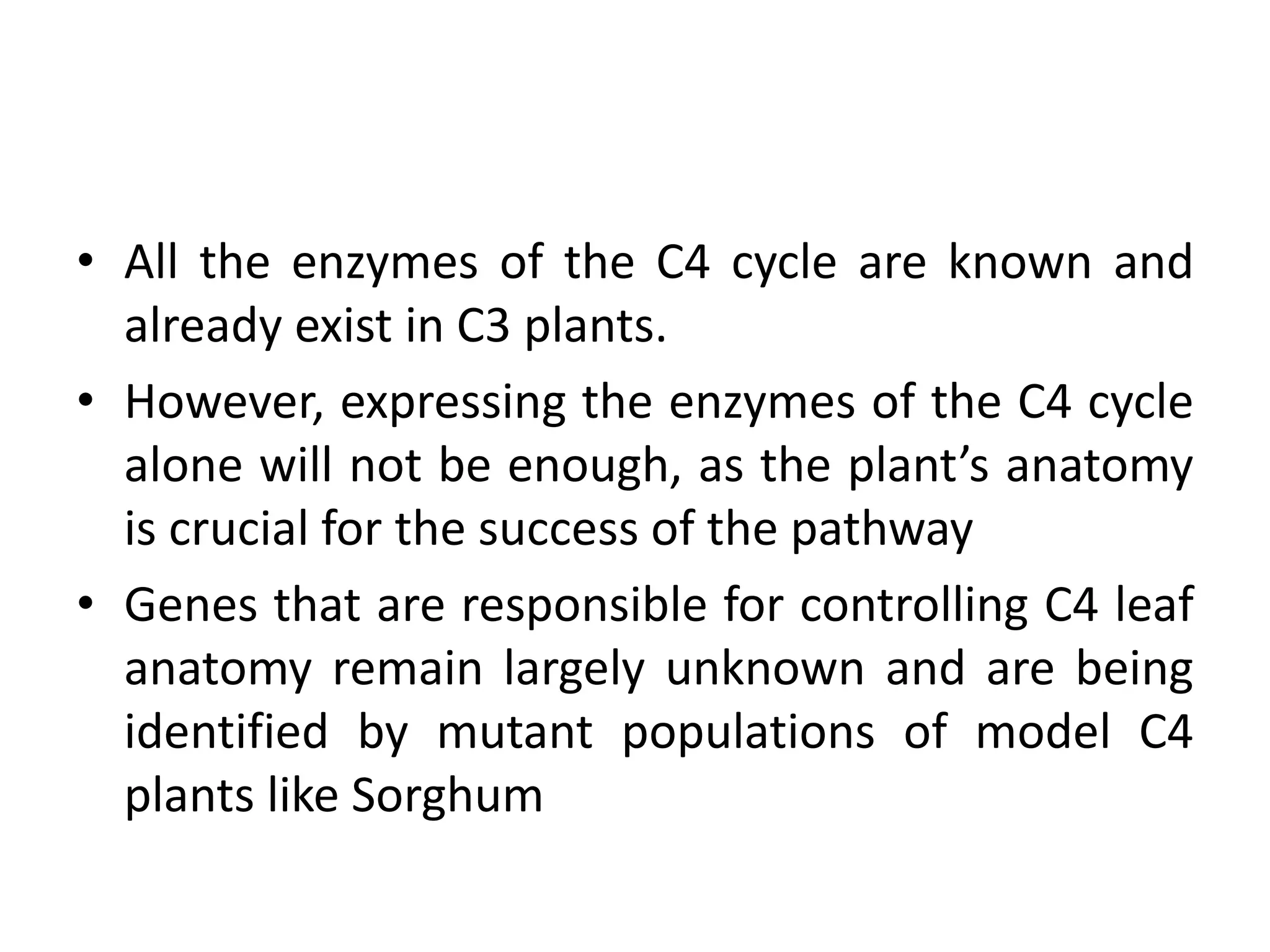 • All the enzymes of the C4 cycle are known and
already exist in C3 plants.
• However, expressing the enzymes of the C4 cycle
alone will not be enough, as the plant’s anatomy
is crucial for the success of the pathway
• Genes that are responsible for controlling C4 leaf
anatomy remain largely unknown and are being
identified by mutant populations of model C4
plants like Sorghum
 
