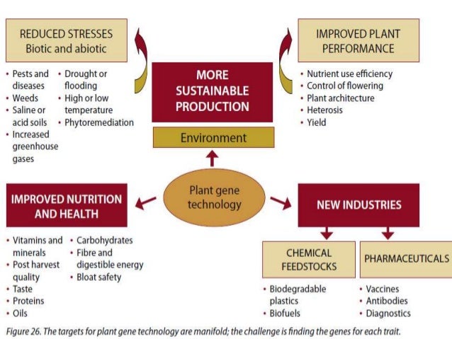 key application of plant metabolic engineering