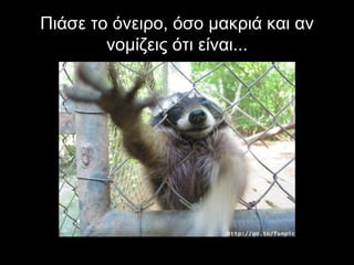 Πιάσε το όνειρο, όσο μακριά και αν
        νομίζεις ότι είναι...
 