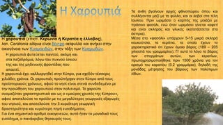 Η χαρουπιά (επιστ. Κερωνία ή Κερατέα η έλλοβος),
λατ. Ceratonia siliqua είναι δέντρο αείφυλλο και ανήκει στην
οικογένεια των Κυαμοειδών, στην τάξη των Κυαμωδών.
Η χαρουπιά έχει καλλιεργηθεί στην Κύπρο, για σχεδόν τέσσερις
χιλιάδες χρόνια. Οι χαρουπιές προϋπήρχαν στην Κύπρο από τους
προϊστορικούς χρόνους, αφού το νησί είναι στενά συνδεδεμένο με
την προώθηση του χαρουπιού στον πολιτισμό. Το χαρούπι
ονομαζόταν χαρακτηριστικά και ως ο «μαύρος χρυσός της Κύπρου»,
αφού αποτελούσε το προϊόν με τις μεγαλύτερες γεωργικές εξαγωγές
του νησιού, και αποτελούσε την 3 κυριότερη γεωργική
δραστηριότητα και κυριότερη πηγή εισοδήματος.
Για ένα σημαντικό αριθμό οικογενειών, αυτό ήταν το μοναδικό τους
εισόδημα, ο πανάκριβος θησαυρός τους.
Η χαρουπιά φυτεύεται παντού, ακόμη και
στα πεζοδρόμια, λόγω του πυκνού ίσκιου
της και της μηδενικής φροντίδας που
απαιτεί.
Τα άνθη βγαίνουν αρχές φθινοπώρου όπου και
συλλέγονται μαζί με τα φύλλα, και οι λοβοί στα τέλη
Ιουλίου. Πριν ωριμάσει ο καρπός της μοιάζει με
πράσινο φασόλι, ενώ όταν ωριμάσει γίνεται καφετί
και είναι σκληρός και γλυκός (κατατάσσεται στα
όσπρια).
Μέσα στο «φασόλι» υπάρχουν 5-15 μικρά σκληρά
κουκούτσια, τα κεράτια, τα οποία έχουν το
χαρακτηριστικό ότι έχουν όμοιο βάρος (189 – 205
χιλιοστά του γραμμαρίου). Γι’ αυτό το λόγο το βάρος
των σπερμάτων αυτών, των κερατίων,
πρωτοχρησιμοποιήθηκε πριν 1500 χρόνια για τον
ορισμό του καρατίου (0.2 γραμμάρια), δηλαδή της
μονάδας μέτρησης του βάρους των πολύτιμων
λίθων.
 