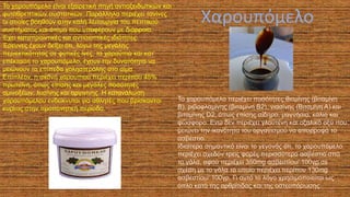 Χαρουπόμελο
Το χαρουπόμελο είναι εξαιρετική πηγή αντιοξειδωτικών και
φυτοθρεπτικών συστατικών. Παράλληλα περιέχει τανίνες
οι οποίες βοηθούν στην καλή λειτουργία του πεπτικού
συστήματος και άτομα που υποφέρουν με διάρροια.
Έχει καταπραϊντικές και αντισηπτικές ιδιότητες.
Έρευνες έχουν δείξει ότι, λόγω της μεγάλης
περιεκτικότητας σε φυτικές ίνες, τα χαρούπια και κατ’
επέκταση το χαρουπόμελο, έχουν την δυνατότητα να
μειώνουν τα επίπεδα χοληστερόλης στο αίμα.
Επιπλέον, η σκόνη χαρουπιού περιέχει περίπου 45%
πρωτεΐνη, όπως επίσης και μεγάλες ποσότητες
αμινοξέων, λυσίνης και αργινίνης. Η κατανάλωση
χαρουπόμελου ενδείκνυται για αθλητές που βρίσκονται
κυρίως στην προπονητική περίοδο.
Το χαρουπόμελο περιέχει ποσότητες θιαμίνης (βιταμίνη
Β), ριβοφλαμίνης (βιταμίνη Β2), νιασίνης (Βιταμίνη Α) και
βιταμίνης D2, όπως επίσης σίδηρο, μαγνήσιο, κάλιο και
φώσφορο. Ενώ δεν περιέχει γλουτένη και οξαλικό οξύ που
μειώνει την ικανότητα του οργανισμού να απορροφά το
ασβέστιο.
Ιδιαίτερα σημαντικό είναι το γεγονός ότι, το χαρουπόμελο
περιέχει σχεδόν τρεις φορές περισσότερο ασβέστιο από
το γάλα, αφού περιέχει 350mg ασβεστίου/ 100γρ σε
σχέση με το γάλα το οποίο περιέχει περίπου 130mg
ασβεστίου/ 100γρ. Γι αυτό το λόγο χρησιμοποιείται ως
όπλο κατά της αρθρίτιδας και της οστεοπόρωσης.
 